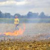 Gemeinsame Ausbildung Vegetationsbrand-Bekämpfung